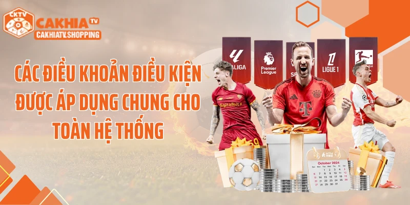 Các điều khoản điều kiện được áp dụng chung cho toàn hệ thống