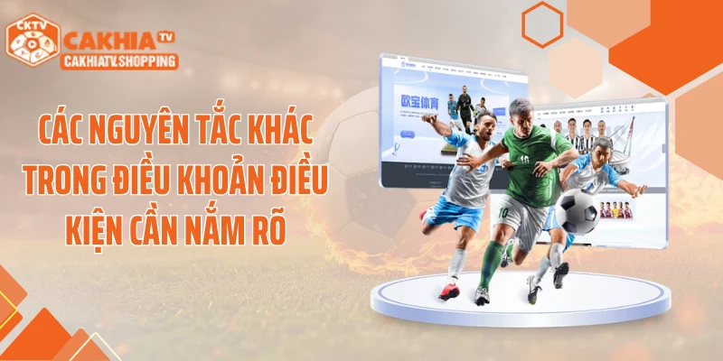 Các nguyên tắc khác trong điều khoản điều kiện cần nắm rõ